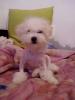 My Baby